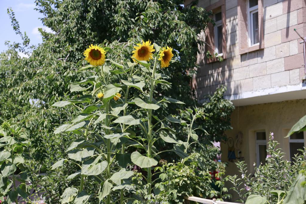 Garden Of Cappadocia Uçhisar Exterior photo